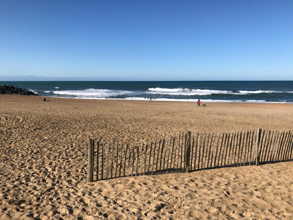 Anglet- Biarritz T3 Dans Residence Avec Piscine Eksteriør billede